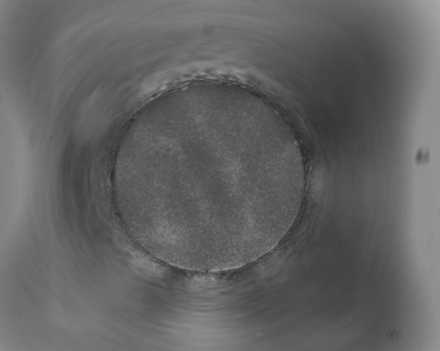 X0000111871489200909031803