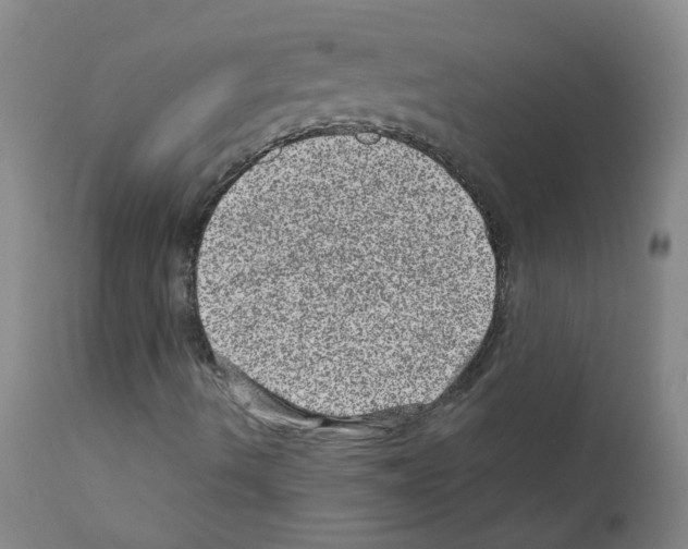 X0000111871490200909031803