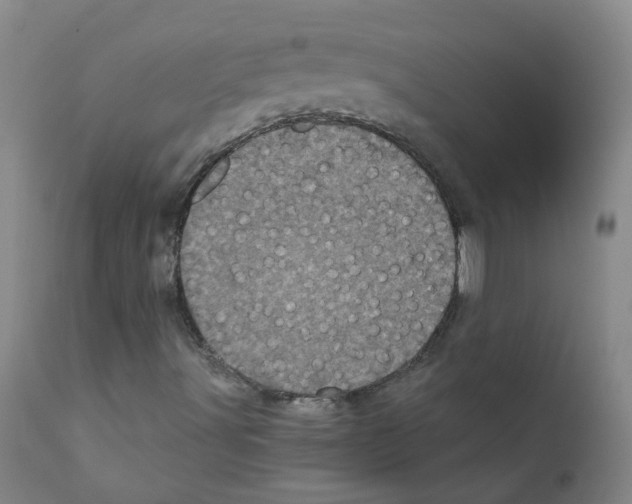 X0000111871491200909031803