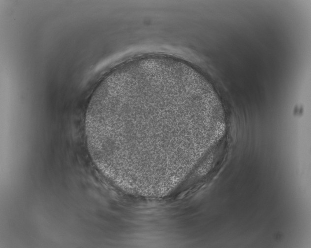 X0000111871494200909031803