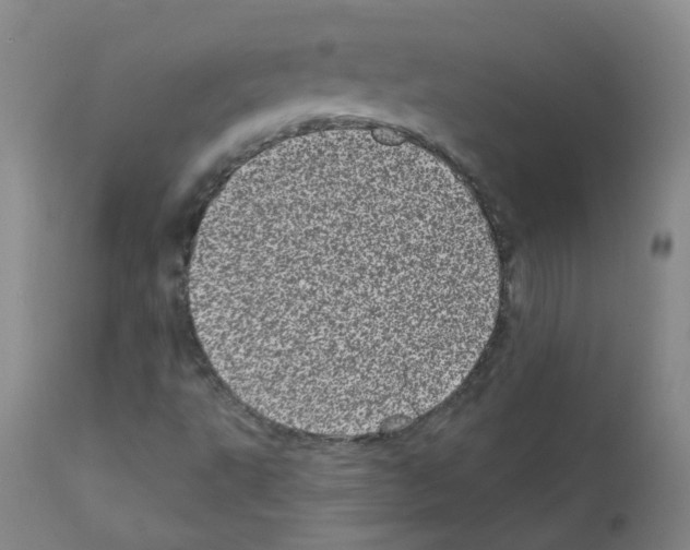 X0000111871495200909031803