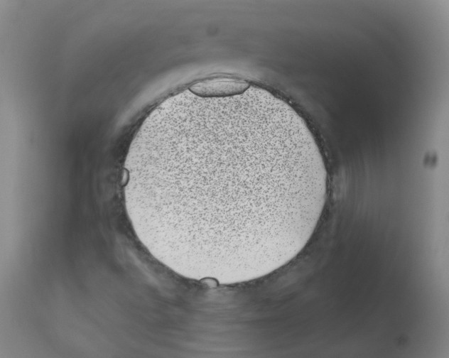 X0000111871496200909031803