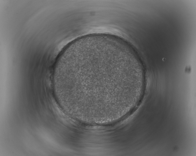 X0000111871497200909031803