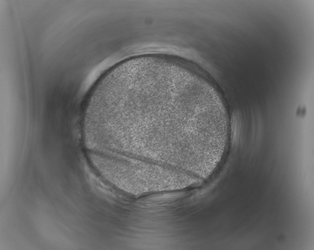 X0000111871501200909031803