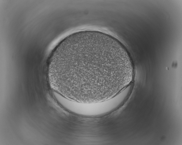 X0000111871502200909031803