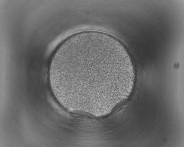 X0000111871503200909031803