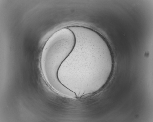 X0000111871504200909031803