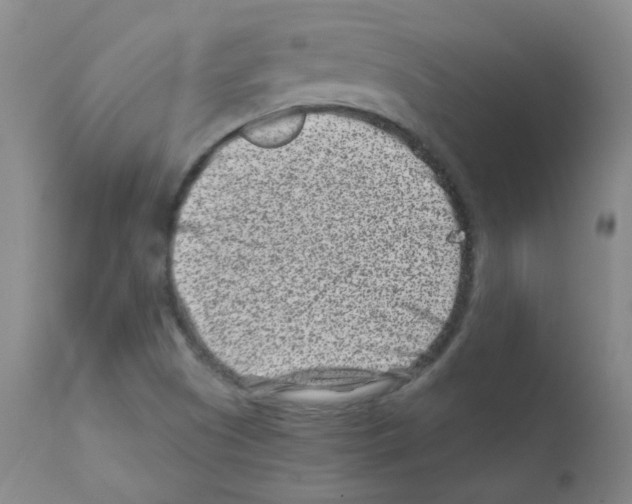 X0000111871505200909031803