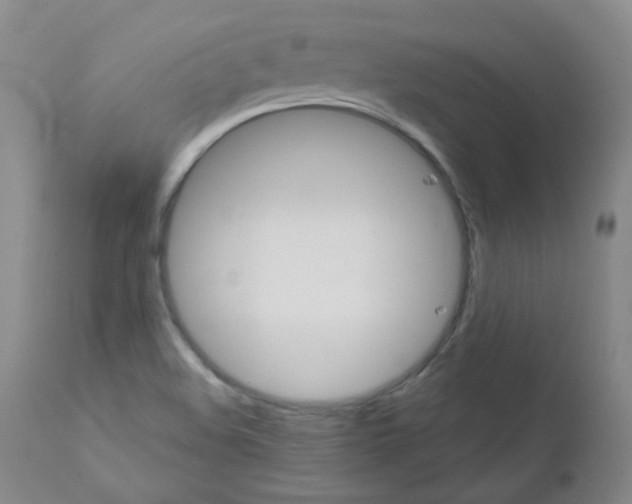 X0000111871508200909031803