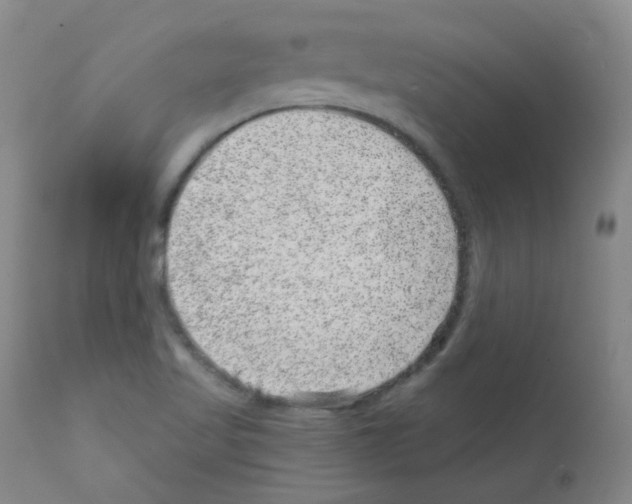 X0000111871509200909031803