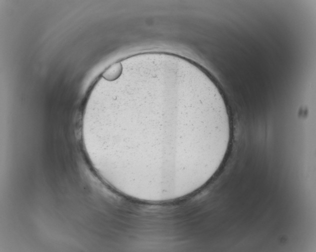 X0000111871510200909031803