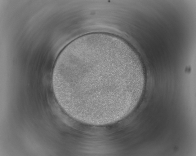 X0000111871513200909031803