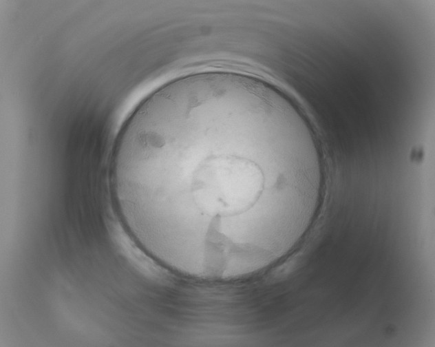 X0000111871514200909031803