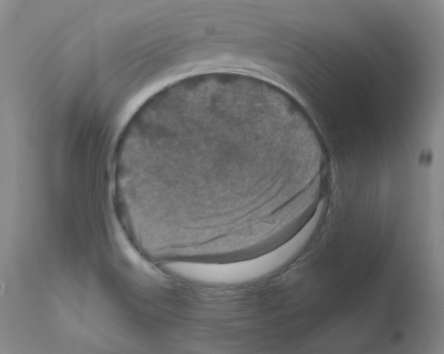 X0000111871515200909031803