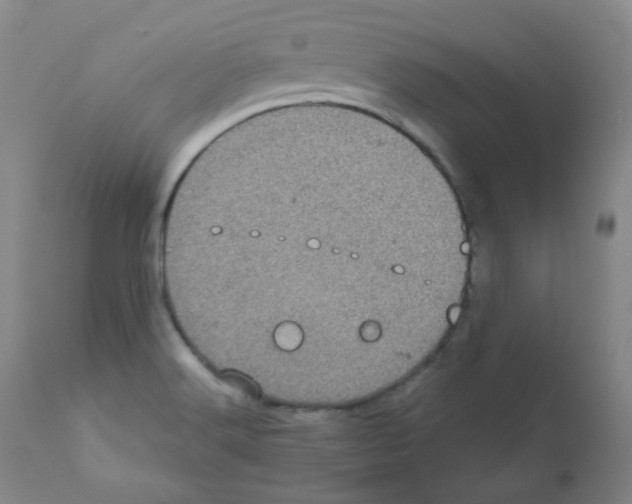 X0000111871516200909031803