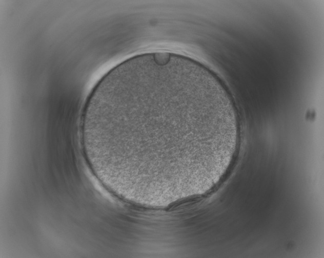 X0000111871517200909031803