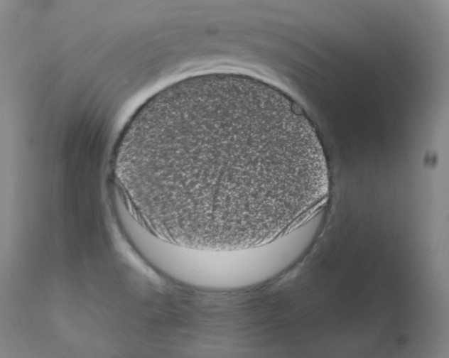 X0000111871518200909031803