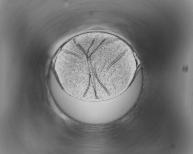 X0000111871519200909031803