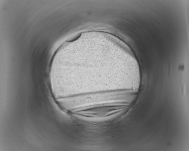 X0000111871520200909031803