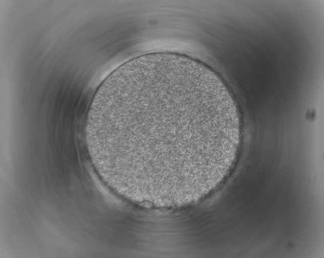 X0000111871521200909031803