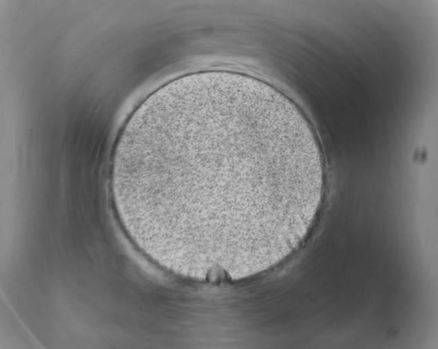 X0000111871525200909031803