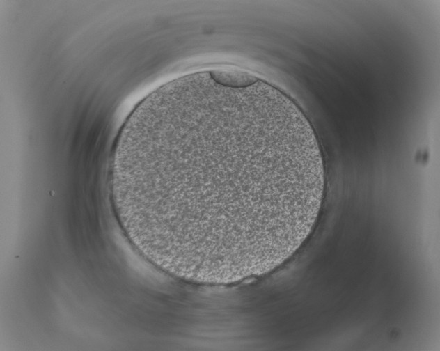 X0000111871526200909031803