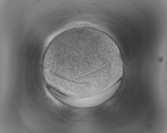 X0000111871527200909031803