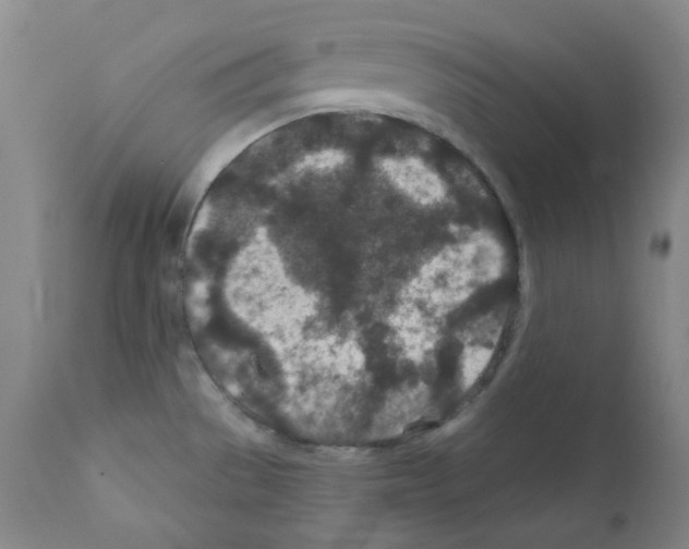 X0000111871529200909031803