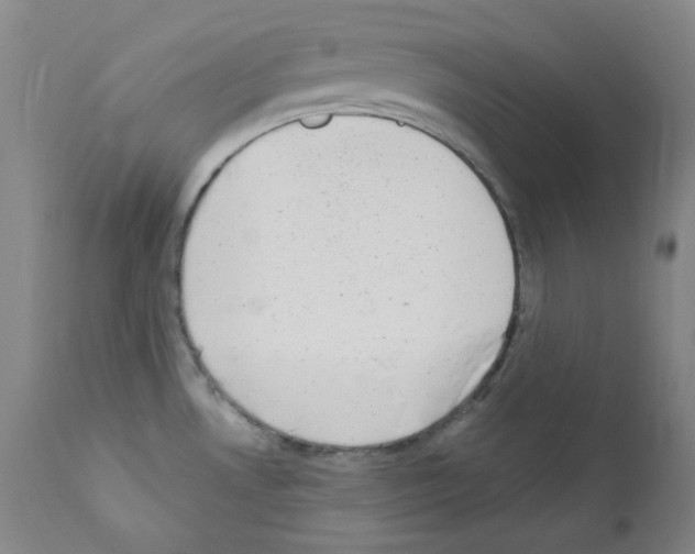 X0000111871530200909031803