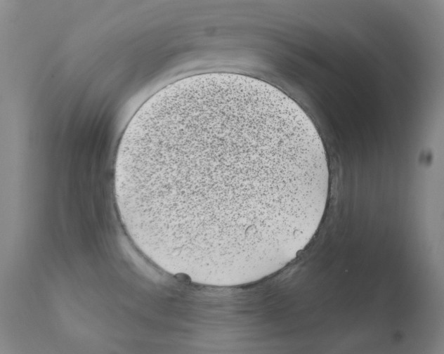 X0000111871532200909031803