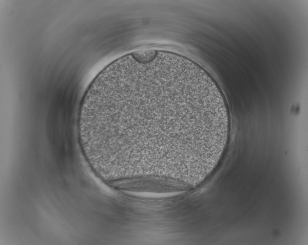 X0000111871533200909031803