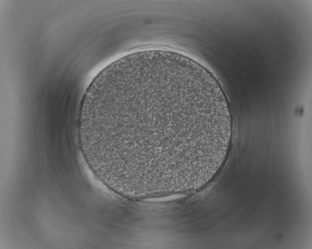 X0000111871534200909031803