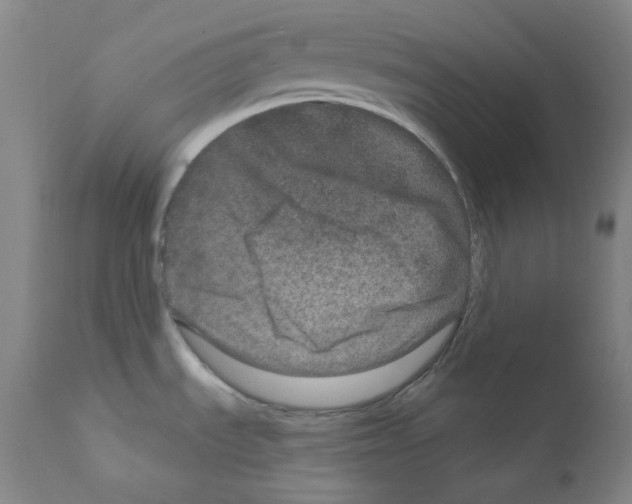 X0000111871535200909031803