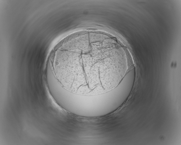 X0000111871536200909031803