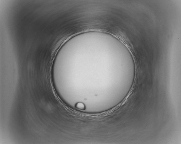 X0000111880001200907231436
