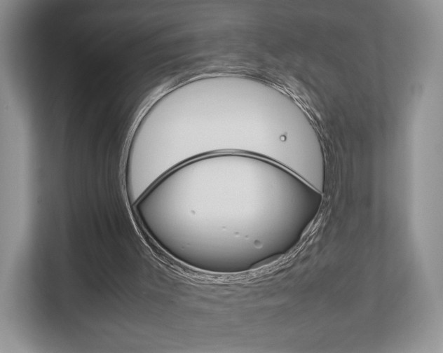 X0000111880003200907231436