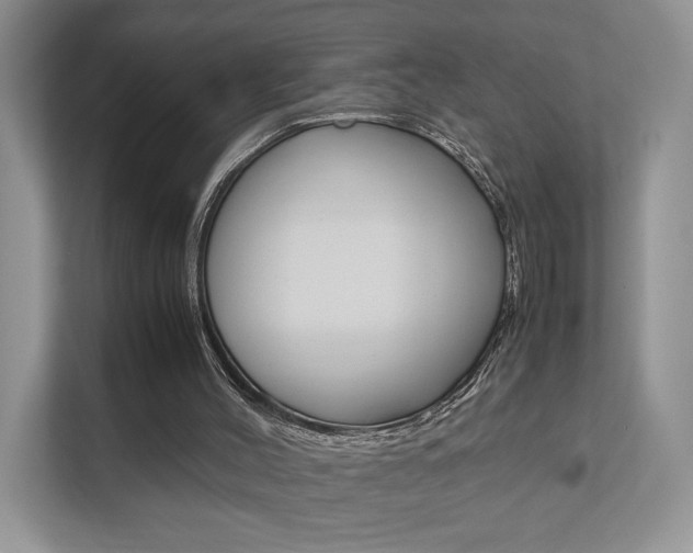 X0000111880004200907231436