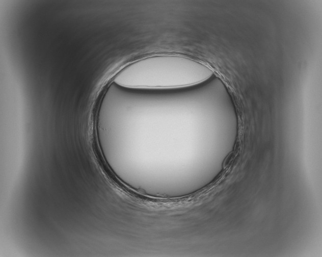 X0000111880005200907231436