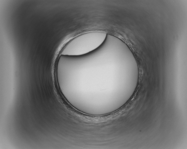 X0000111880006200907231436