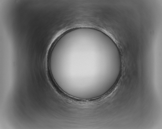X0000111880008200907231436