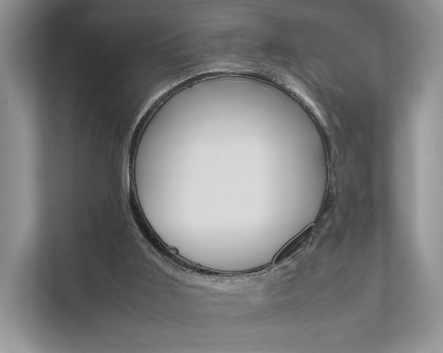 X0000111880011200907231436