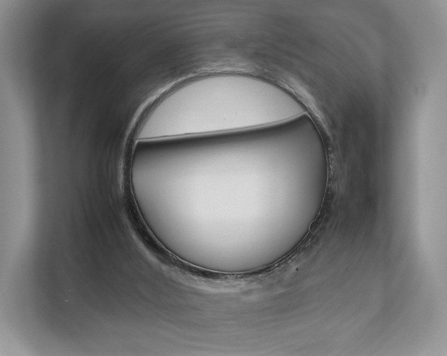 X0000111880012200907231436