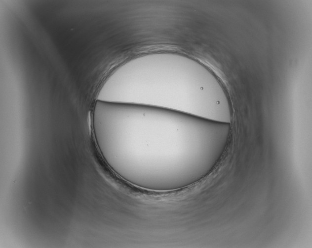 X0000111880013200907231436