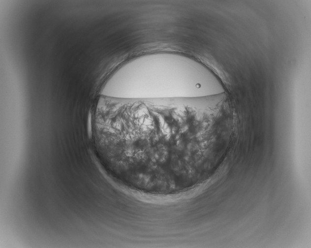 X0000111880014200907231436