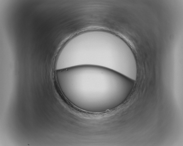 X0000111880015200907231436