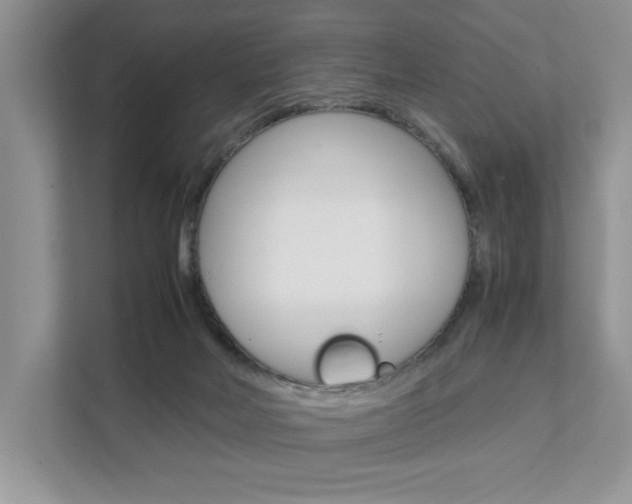 X0000111880026200907231436