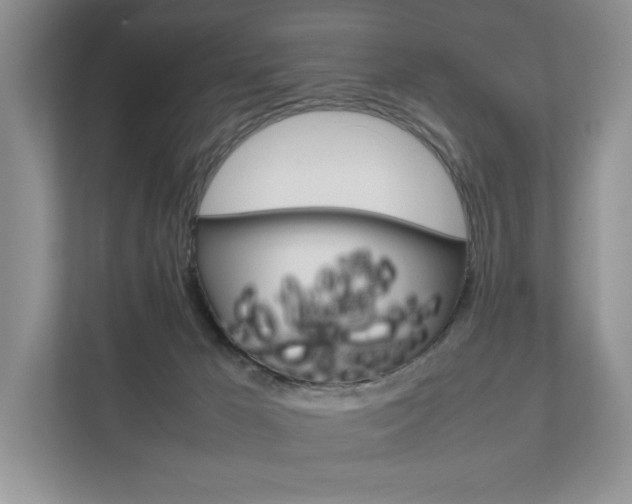 X0000111880029200907231436