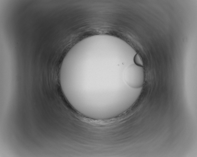 X0000111880030200907231436