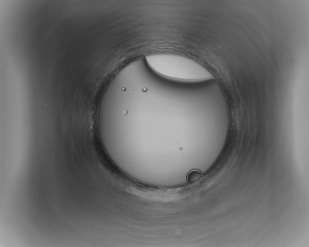 X0000111880032200907231436