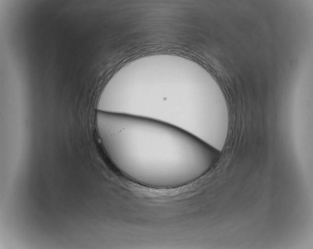 X0000111880039200907231436